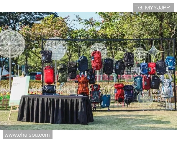 飞盘装备选购指南：最佳攀岩绳推荐与使用技巧分享MBA