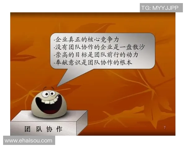 上海排球队的团队协作之道:凝聚力与默契的完美结合